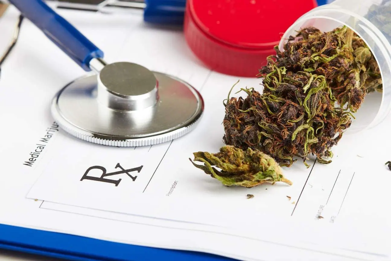 What to Expect During Your First Appointment with a Medical Marijuana Doctor in Coral Springs