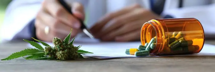 Everything You Need to Know About the Florida Medical Marijuana Card