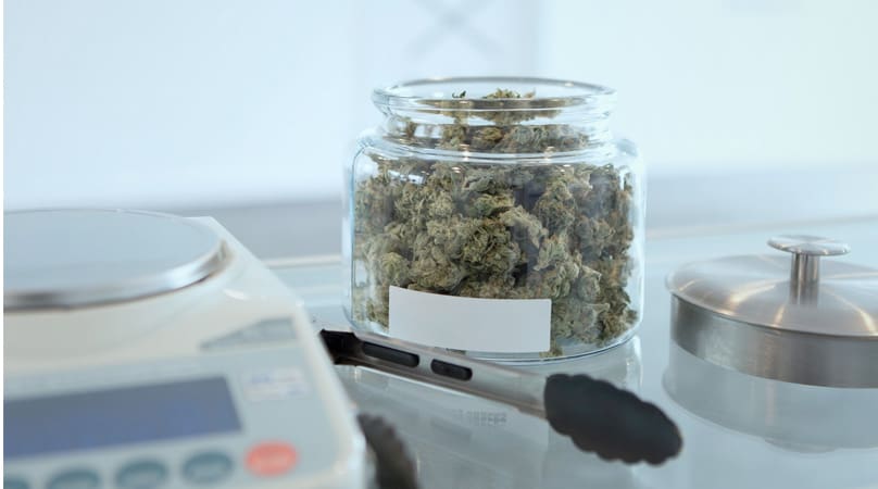 How to Apply for a Medical Marijuana Card in Boca Raton