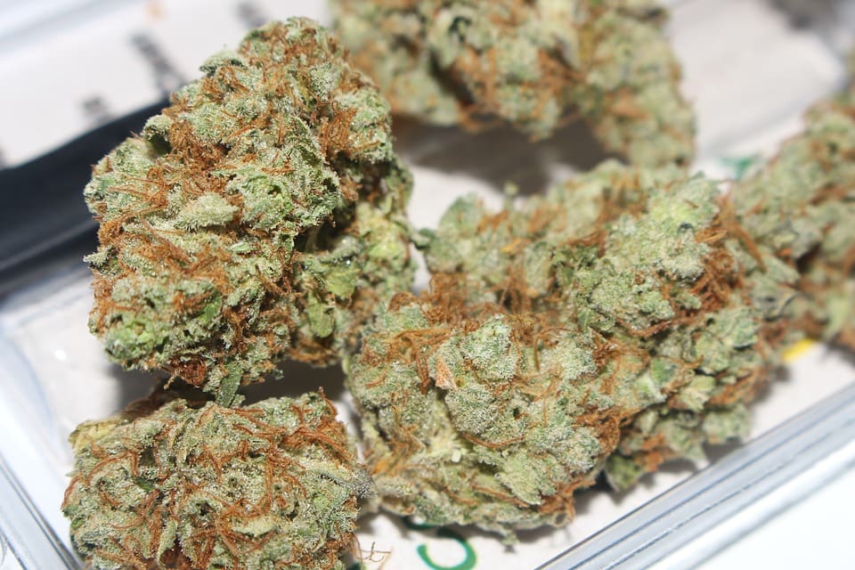 Is Medical Marijuana in Miami Right for Me?