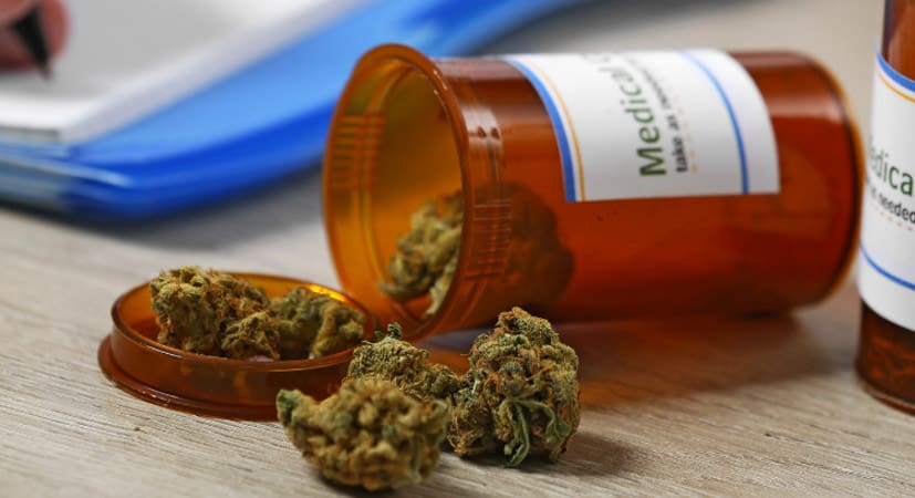 How Do You Get Certified as a Medical Marijuana Specialist?