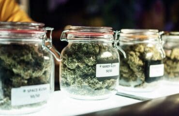 The Importance of Tailored Treatment Plans at MMJ Care MD
