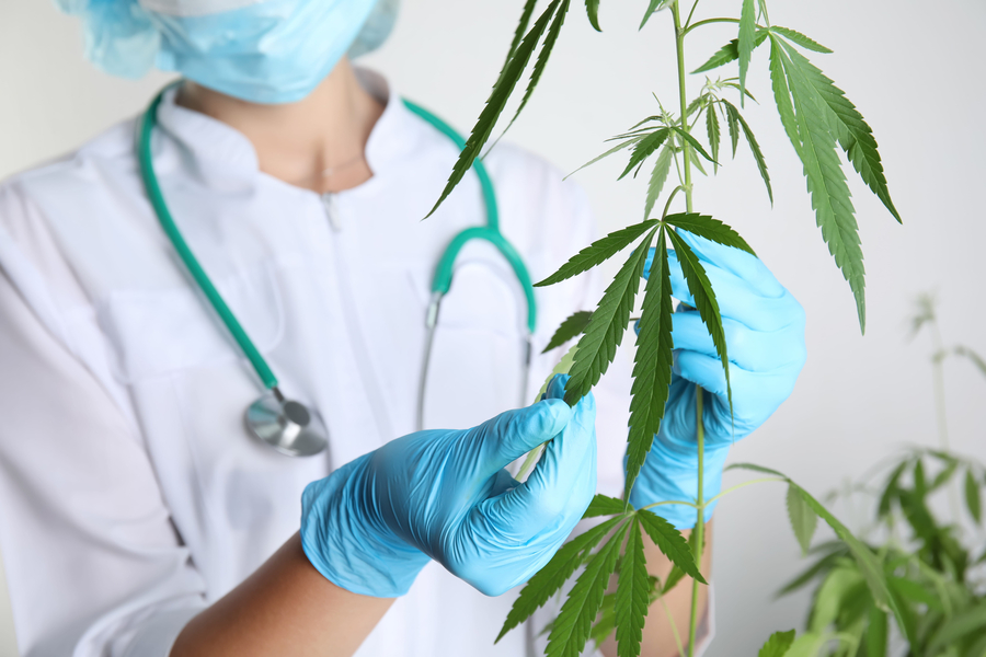 Conditions That May Qualify for Medical Marijuana Treatment in Florida
